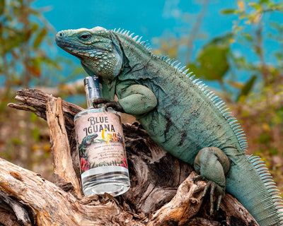 Locally Made Blue Iguana Gin.